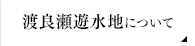 渡良瀬遊水地について