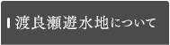 渡良瀬遊水地について
