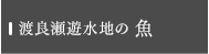 渡良瀬遊水地の魚