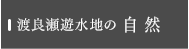 渡良瀬遊水地の自然